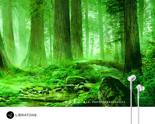 聆听天s之音600字