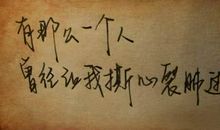 西岭雪经典语录语句