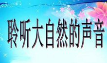 大自然的声音500字
