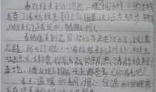 写春雨的作文300字