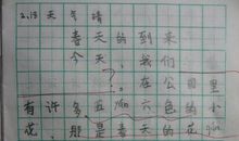 春天的故事作文