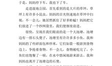 难忘的暑假生活作文