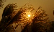 夕阳下的温暖读后感