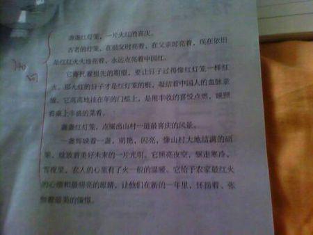 初中成长的力量