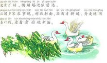 奴隶英雄读后感200字