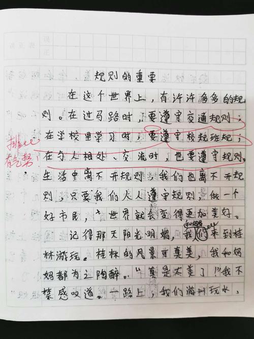 写一些关于规则的东西