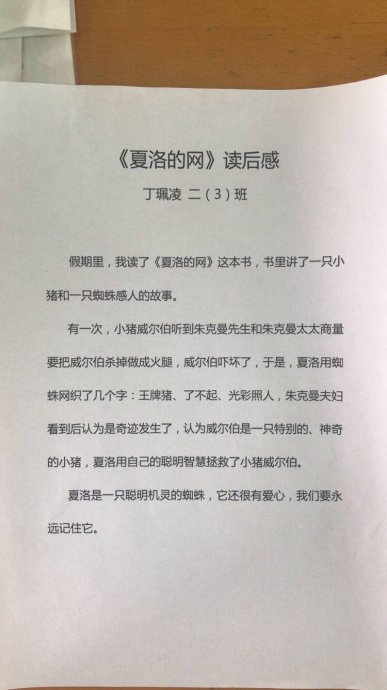 《夏洛网》阅读后500字