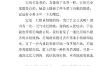 我最喜欢的小动物作文