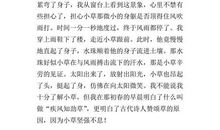 四年级作文我发现了