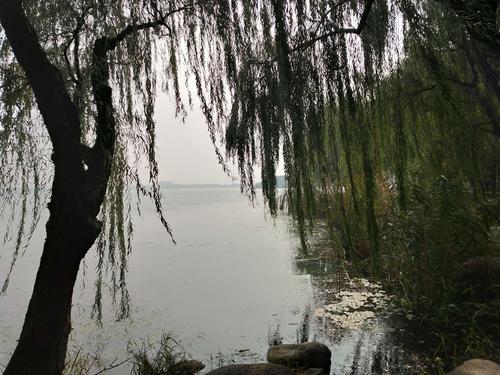 经典句子：梦想，既不憎恨也不讨厌，被想象力所迷惑