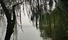 经典语句：一场梦，不怨也不恨，上了想象力的当