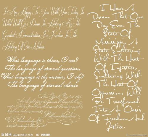 敢于付出，但也可以承受损失