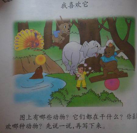 我最喜欢的小动物