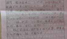 关于游泳的作文