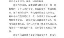 梅花作文400字