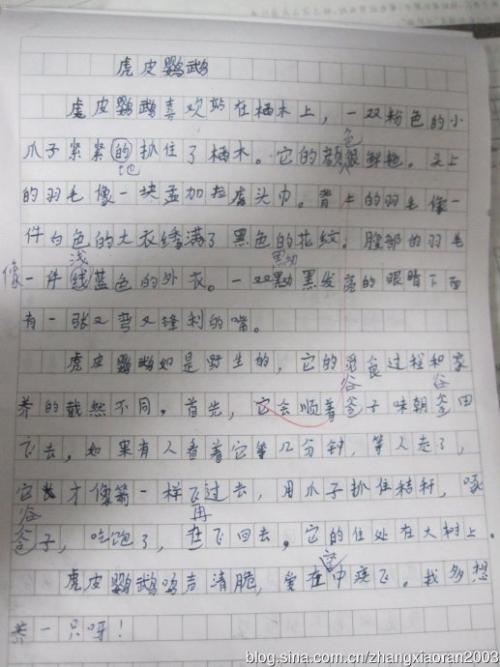 如果我作文