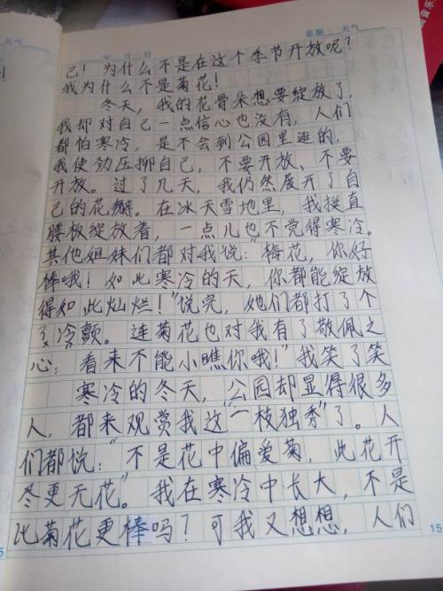 梅花作文200字