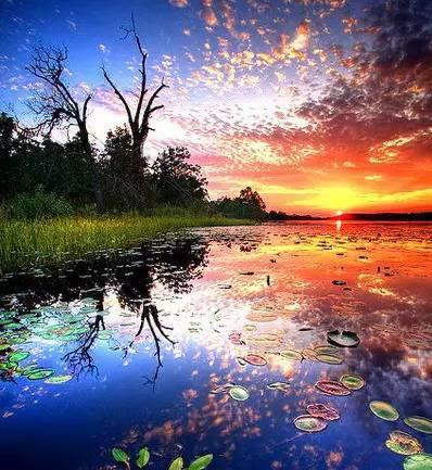 经典句子：安心就是幸福