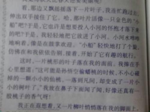 唱自己的歌,写500个字