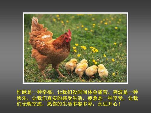 经典有趣的哲学句子