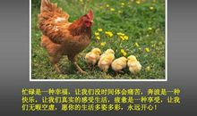 经典搞笑哲理语句