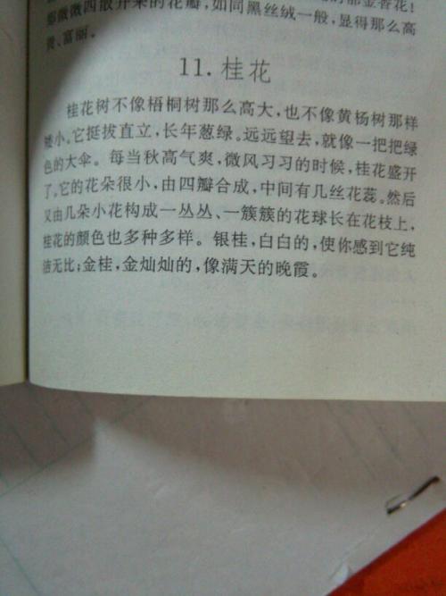 描述桂花的组成