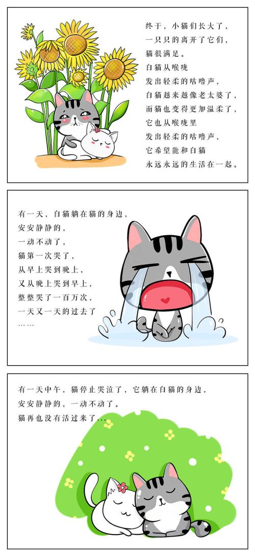 哲学故事：活着一百万次的猫