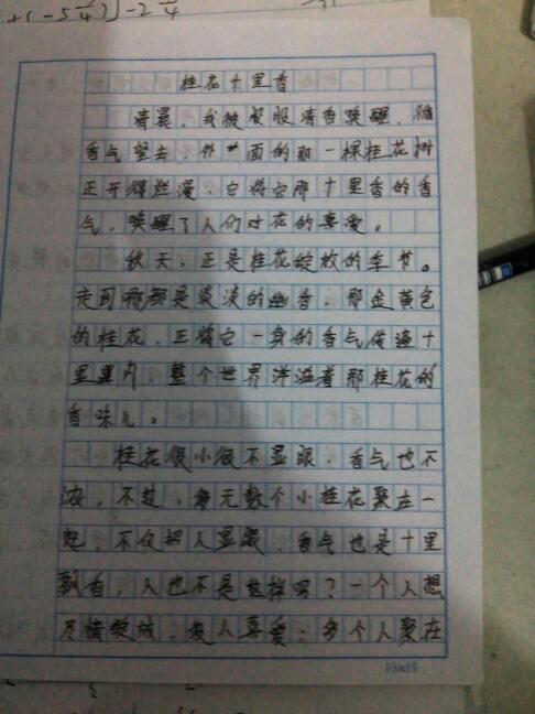 关于桂花的成分