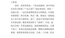 难忘的篮球赛作文