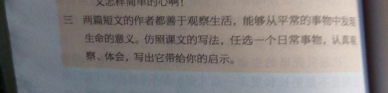 我爷爷的论文600字