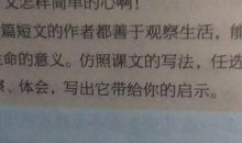 我的外公作文600字