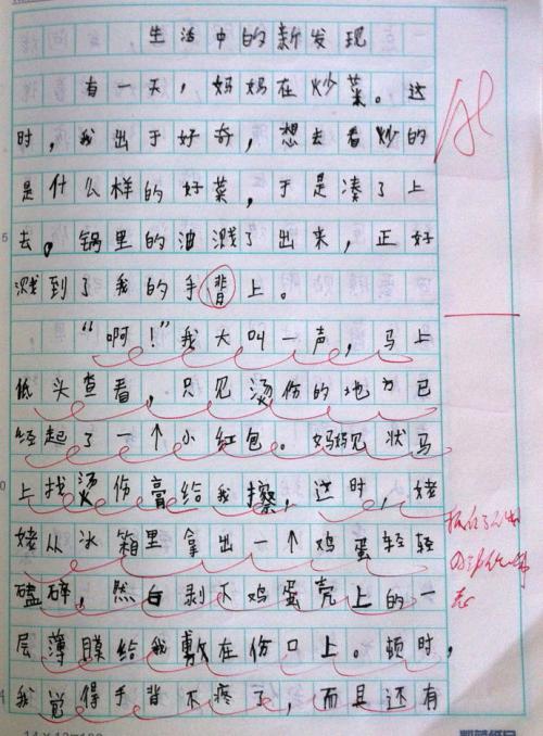 生命中的新发现构成