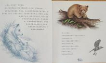 狼谷的孩子读后感