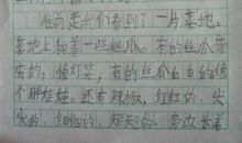 心中的美景600字