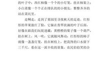 心中的美景作文