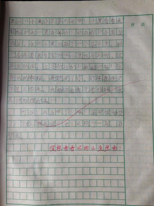 我的好朋友三年级作文