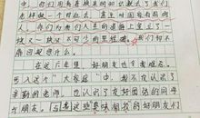 难忘的小学同学作文