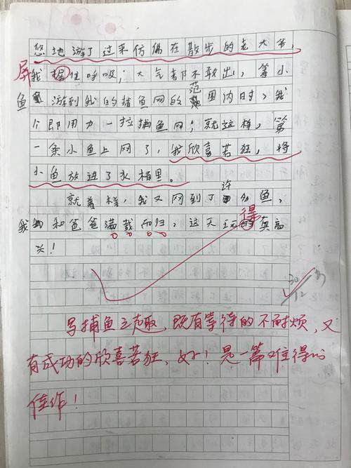 创作时间很棒200字