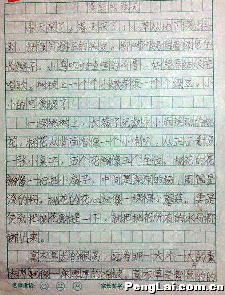 美丽的春天作文600字