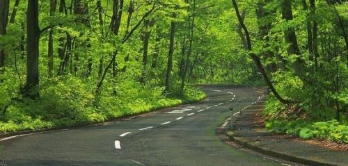 从零开始创业的四个条件