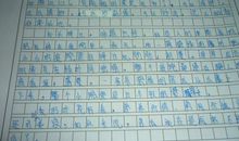 三年级作文我的奶奶