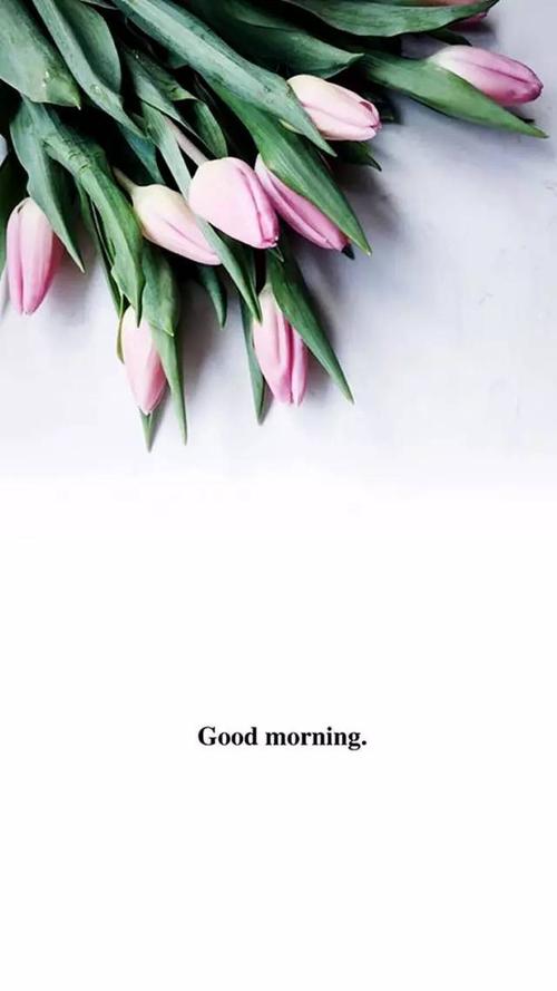 永不提及它不是忘记，而是记住