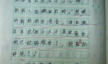 难忘的教训作文700字