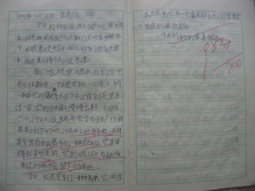 三年级观察作文