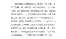 意外的发现作文