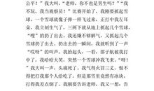 童年趣事打雪仗作文