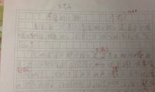 我和小狗作文500字