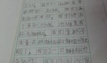 难忘的往事作文