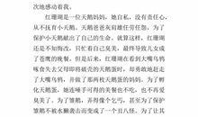 初三作文读后感