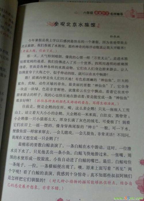 难忘的课文300字